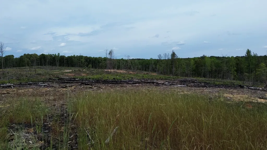 0 Tree Farm Road Sulligent AL 35586