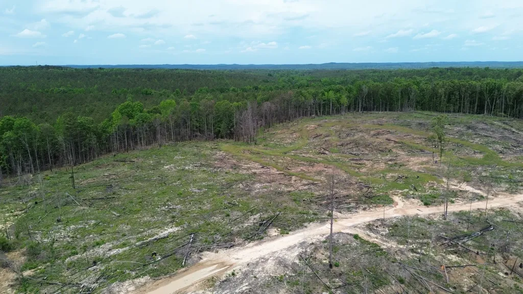 0 Tree Farm Road Sulligent AL 35586