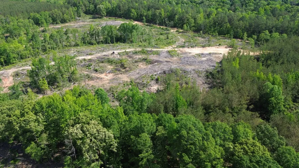 0 Tree Farm Road Sulligent AL 35586