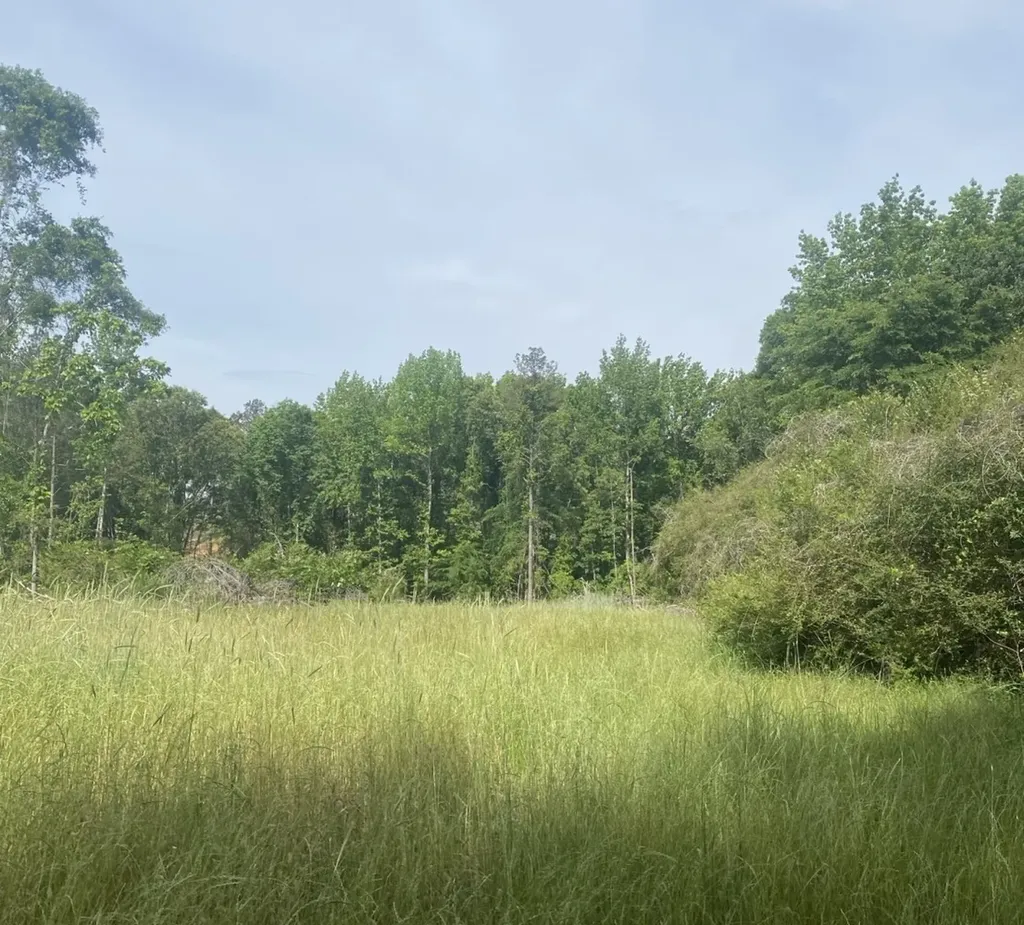 0 Tree Farm Road Sulligent AL 35586