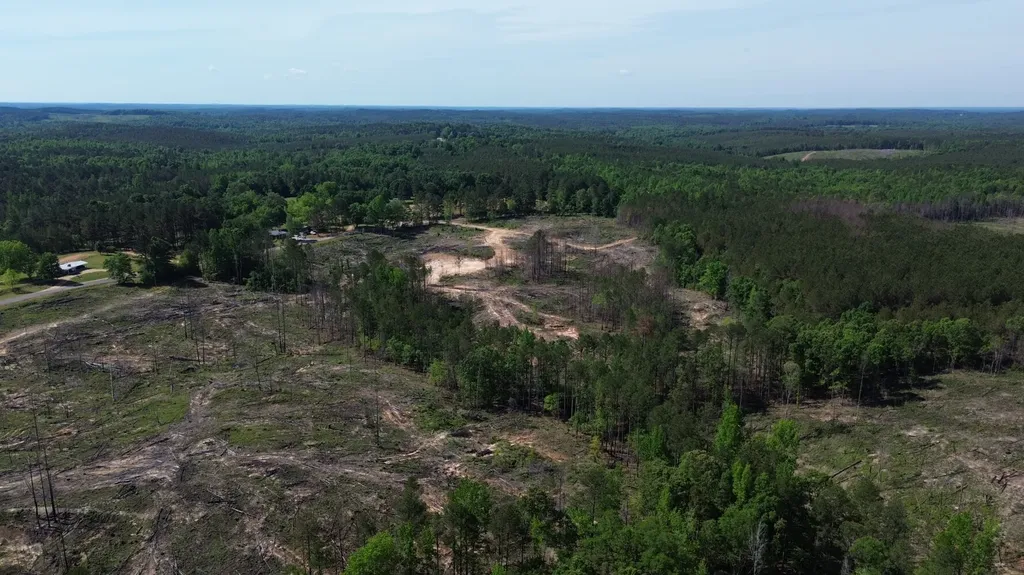 0 Tree Farm Road Sulligent AL 35586