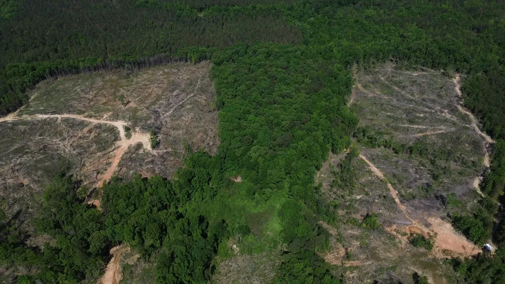 0 Tree Farm Road Sulligent AL 35586