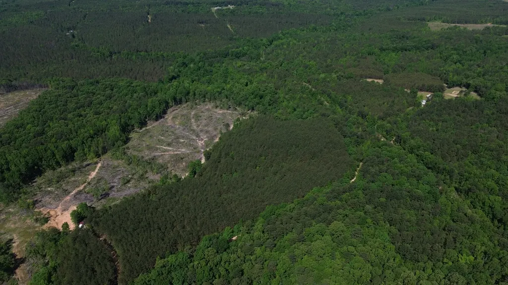 0 Tree Farm Road Sulligent AL 35586