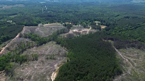 0 Tree Farm Road Sulligent AL 35586