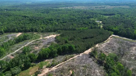 0 Tree Farm Road Sulligent AL 35586