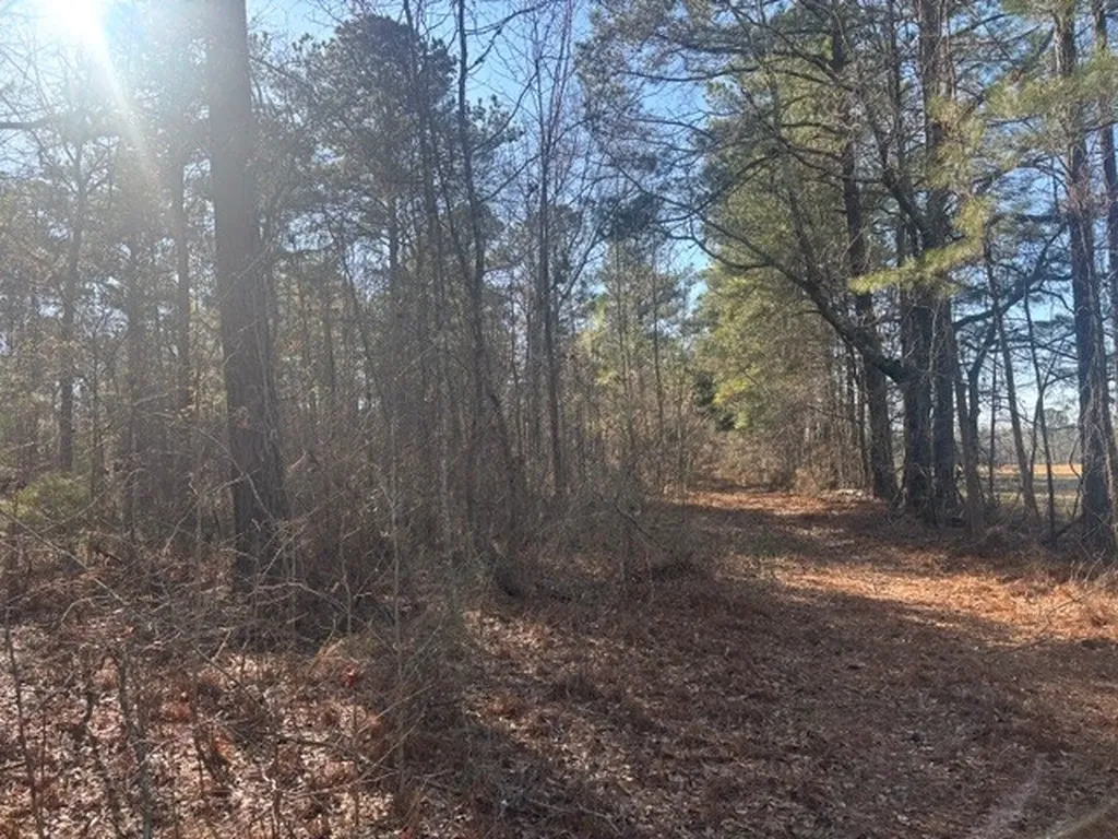 0 Fortner Lane Wetumpka AL 36092