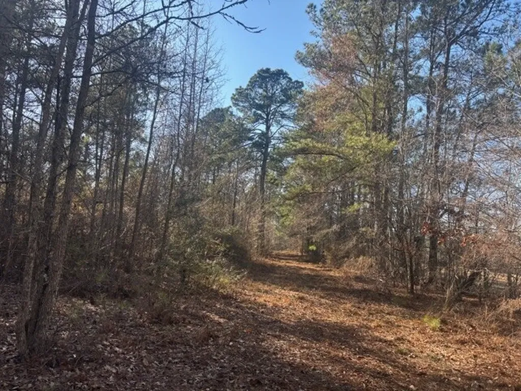 0 Fortner Lane Wetumpka AL 36092