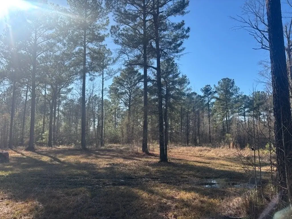 0 Fortner Lane Wetumpka AL 36092