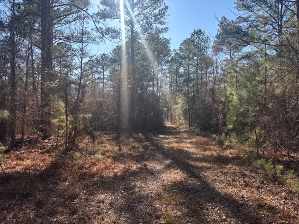 0 Fortner Lane Wetumpka AL 36092