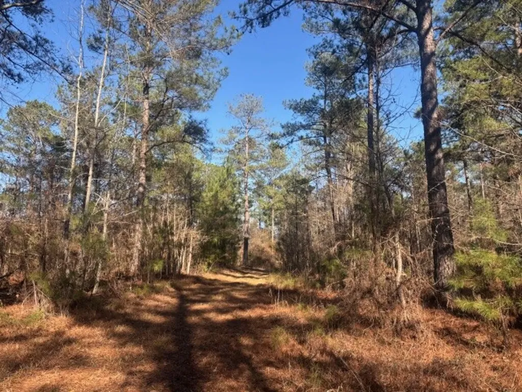 0 Fortner Lane Wetumpka AL 36092