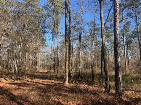 0 Fortner Lane Wetumpka AL 36092