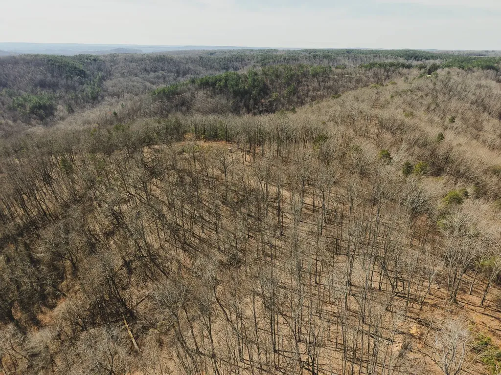 0 Salting Ground Road Cherokee AL 35616