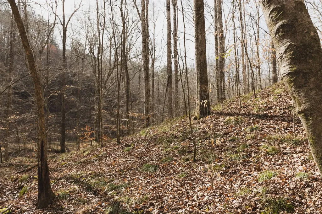 0 Salting Ground Road Cherokee AL 35616