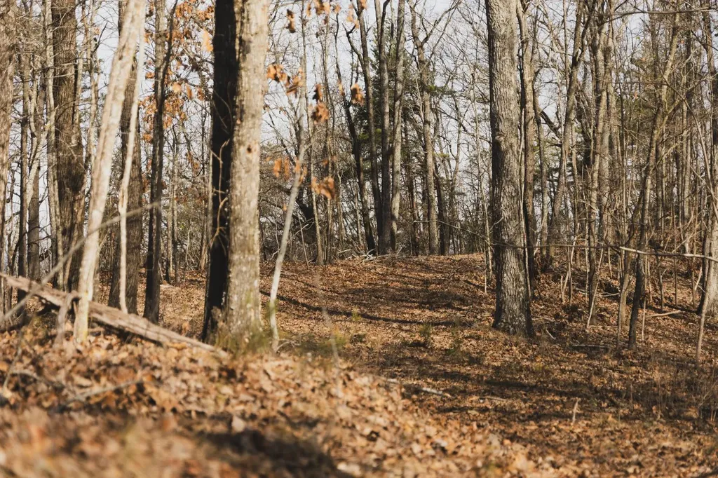 0 Salting Ground Road Cherokee AL 35616
