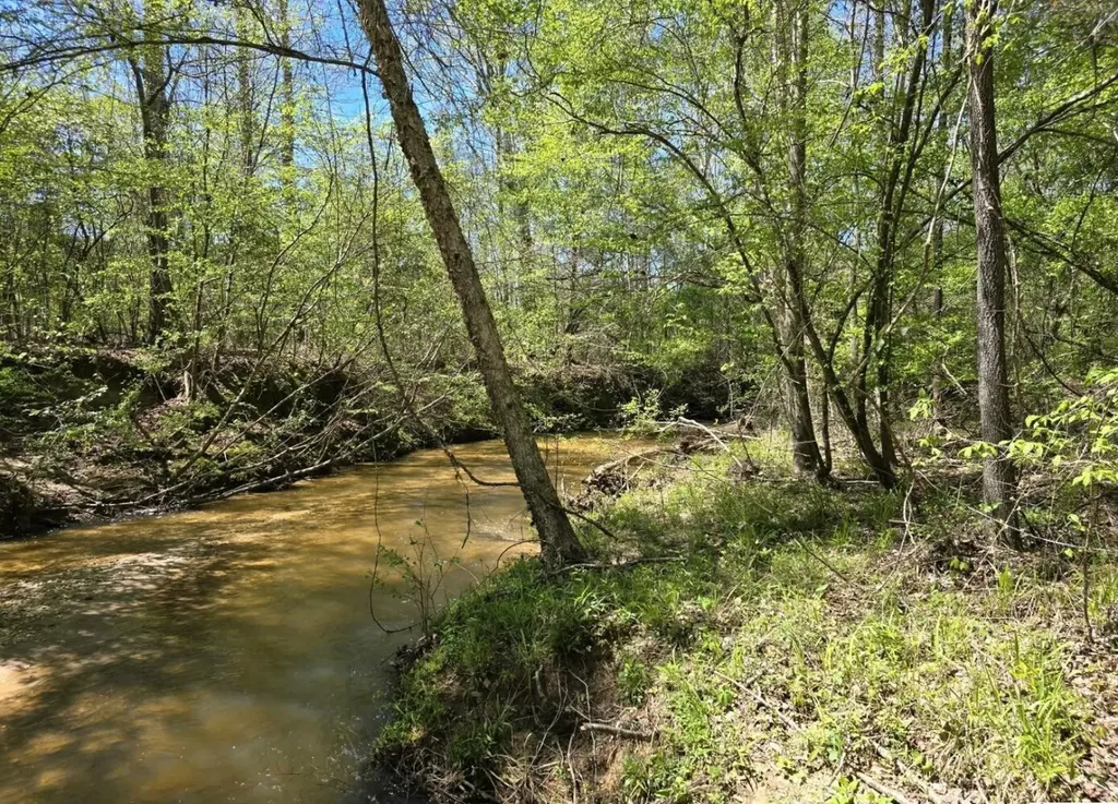 Right Side Of 0 Co Road 337 Maplesville AL 36750