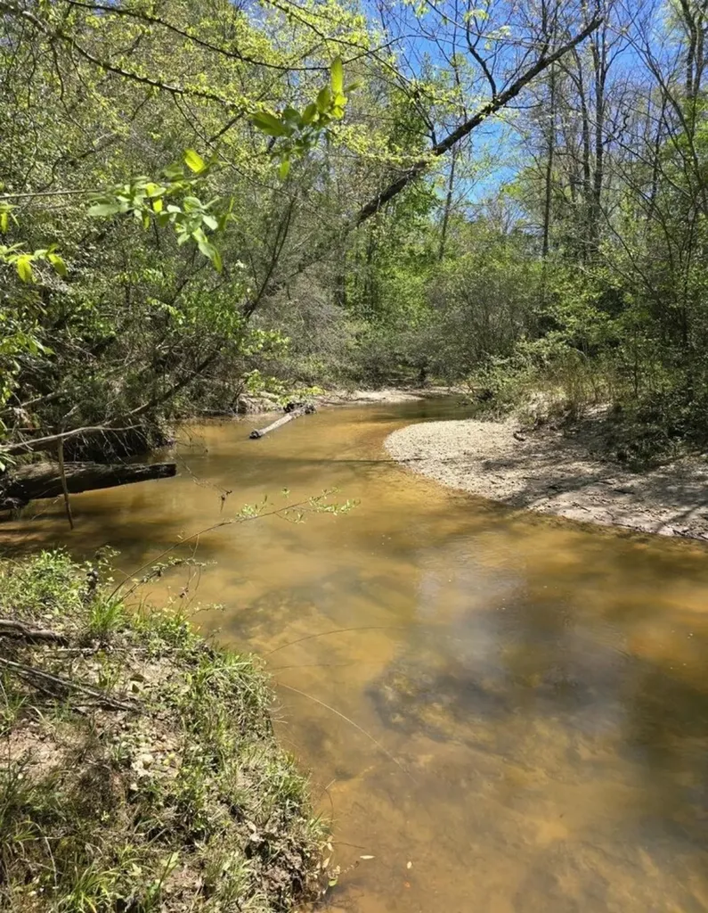 Right Side Of 0 Co Road 337 Maplesville AL 36750