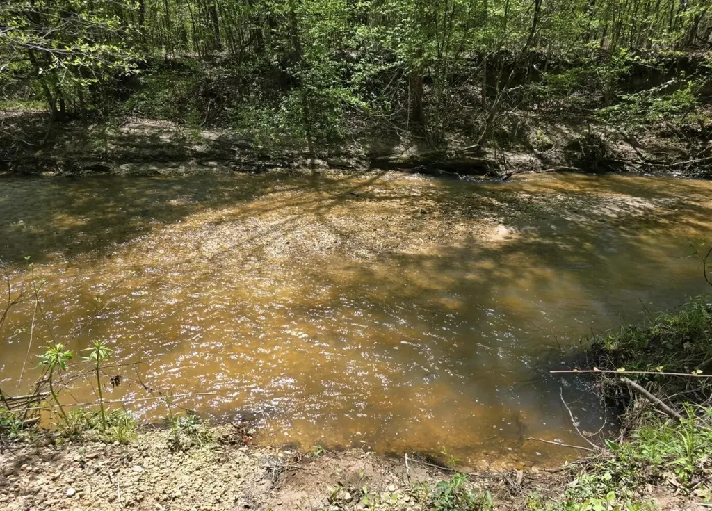 Right Side Of 0 Co Road 337 Maplesville AL 36750
