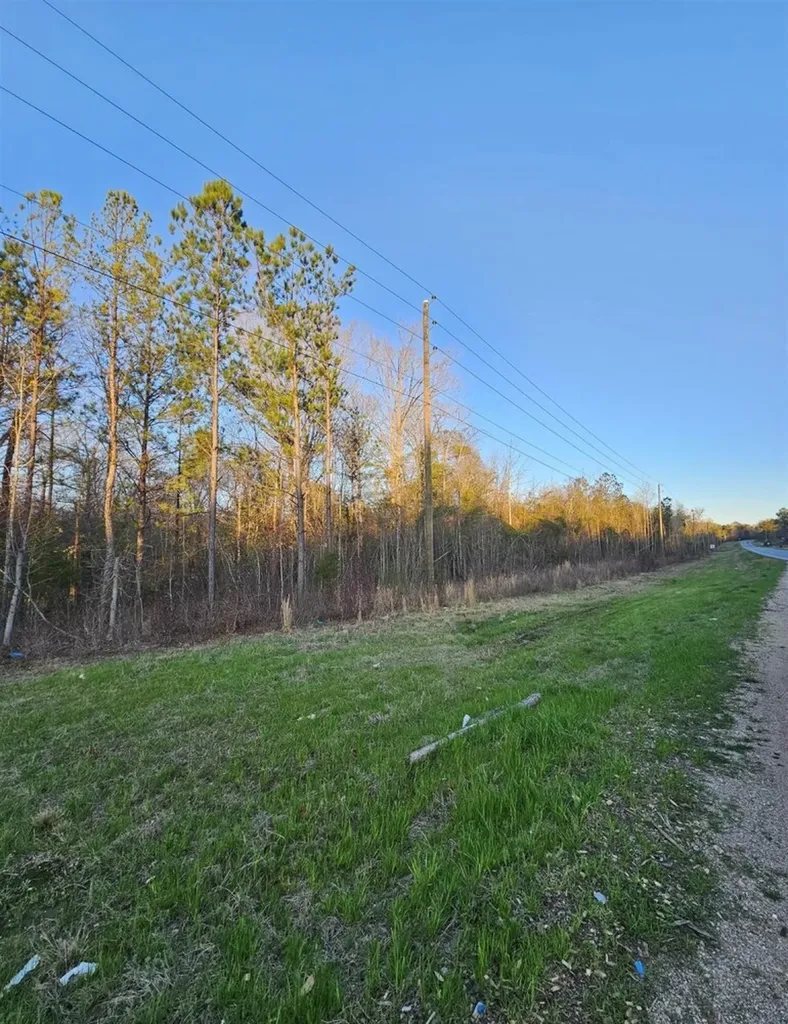 Right Side Of 0 Co Road 337 Maplesville AL 36750