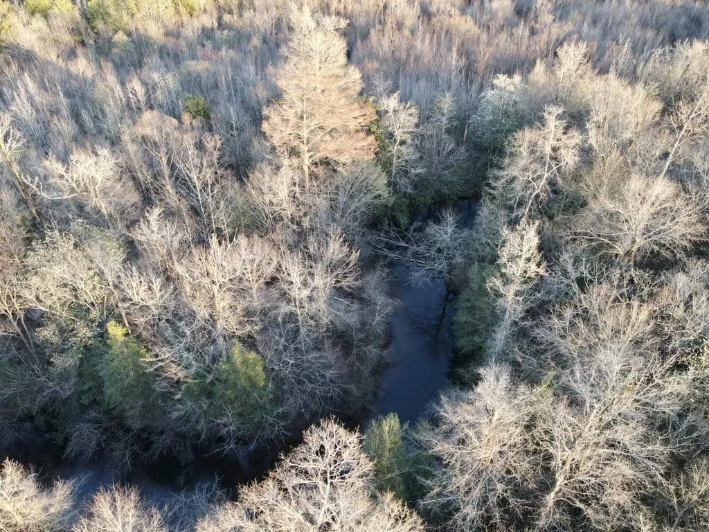0 Co Highway 20 Evergreen AL 36401