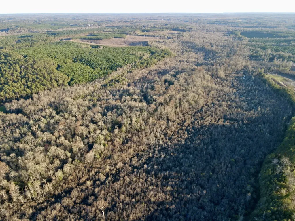 0 Co Highway 20 Evergreen AL 36401