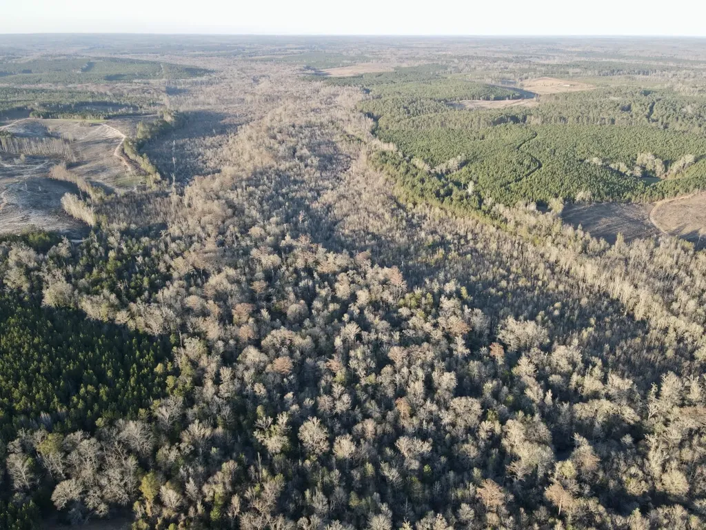 0 Co Highway 20 Evergreen AL 36401