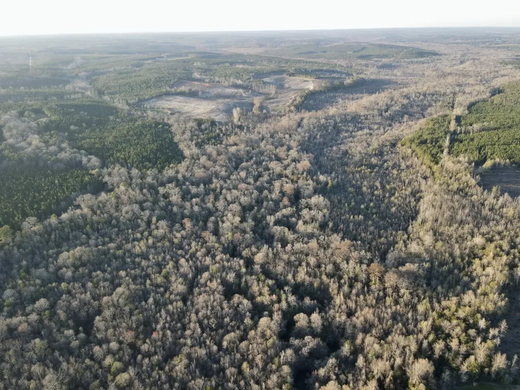 0 Co Highway 20 Evergreen AL 36401