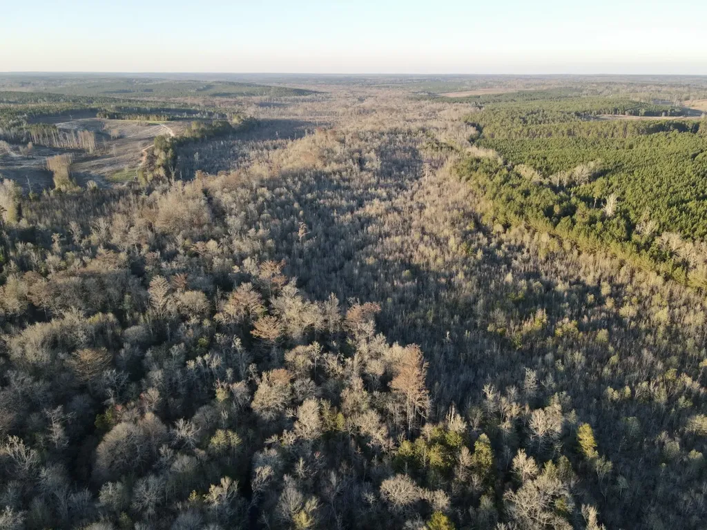 0 Co Highway 20 Evergreen AL 36401