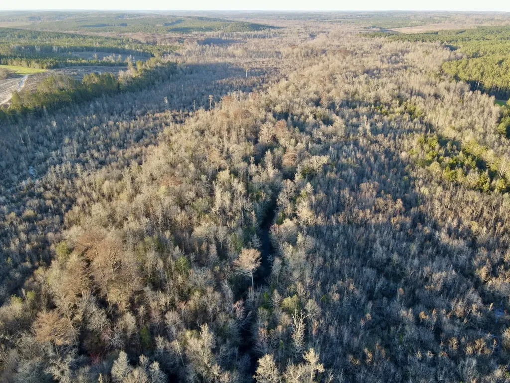 0 Co Highway 20 Evergreen AL 36401