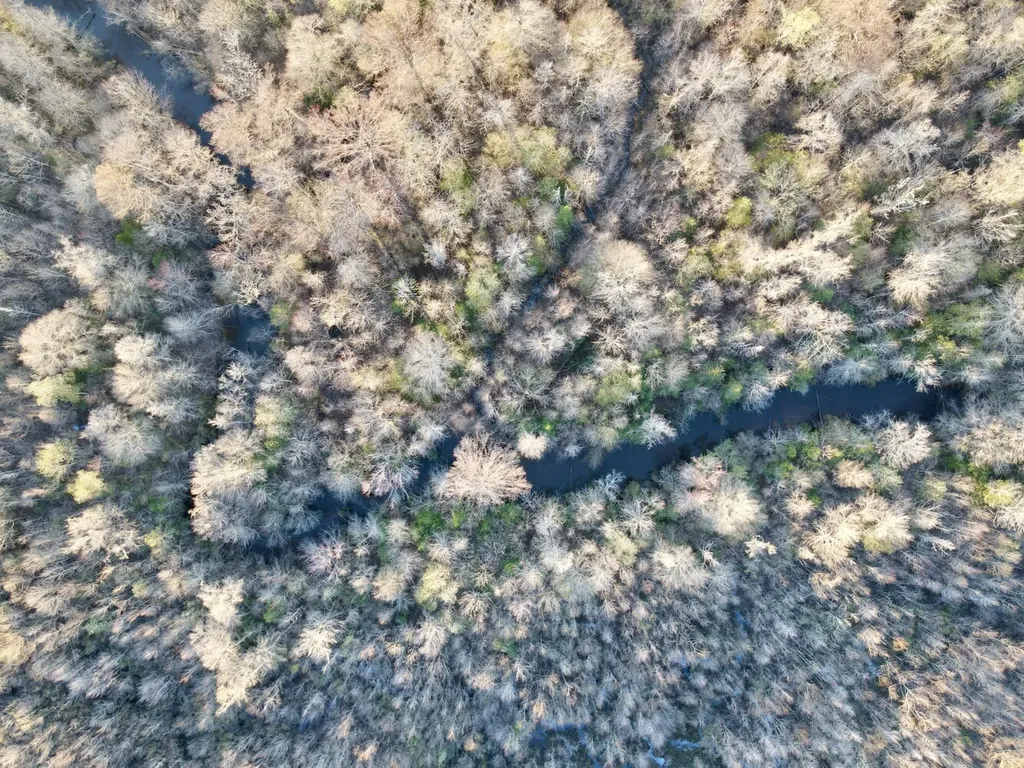 0 Co Highway 20 Evergreen AL 36401