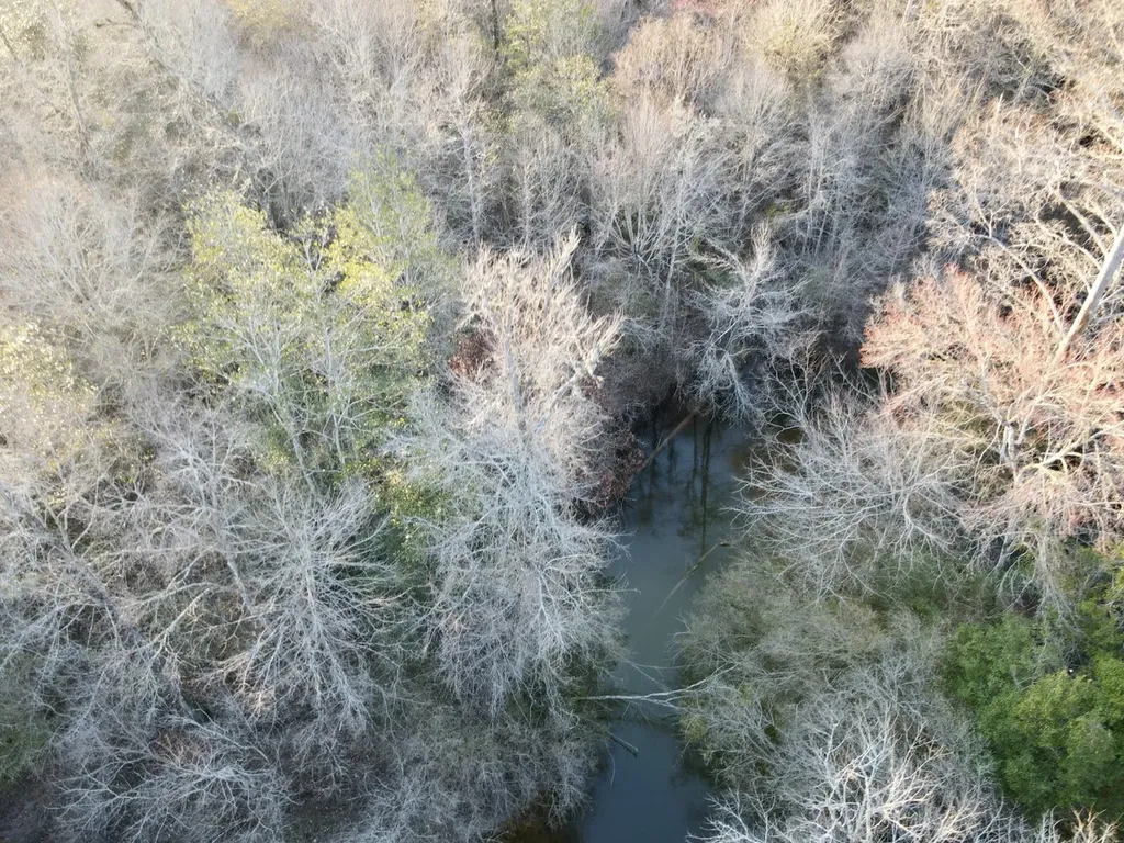 0 Co Highway 20 Evergreen AL 36401
