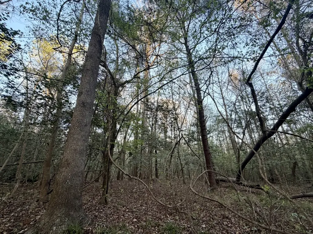 0 Co Highway 20 Evergreen AL 36401