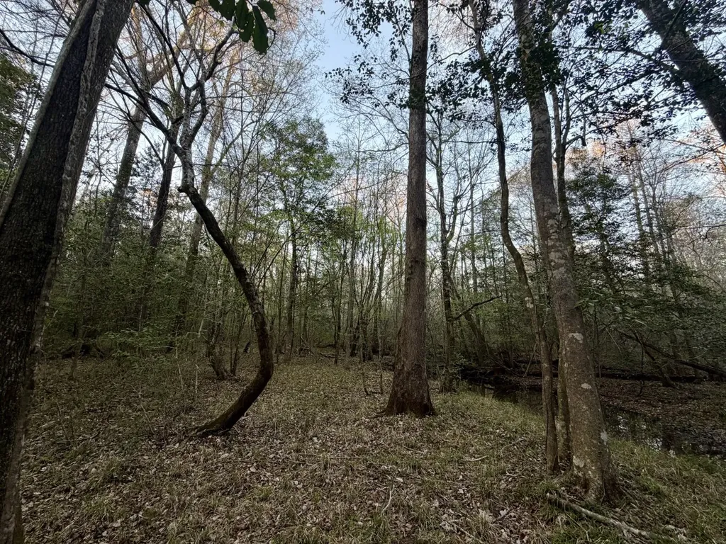 0 Co Highway 20 Evergreen AL 36401