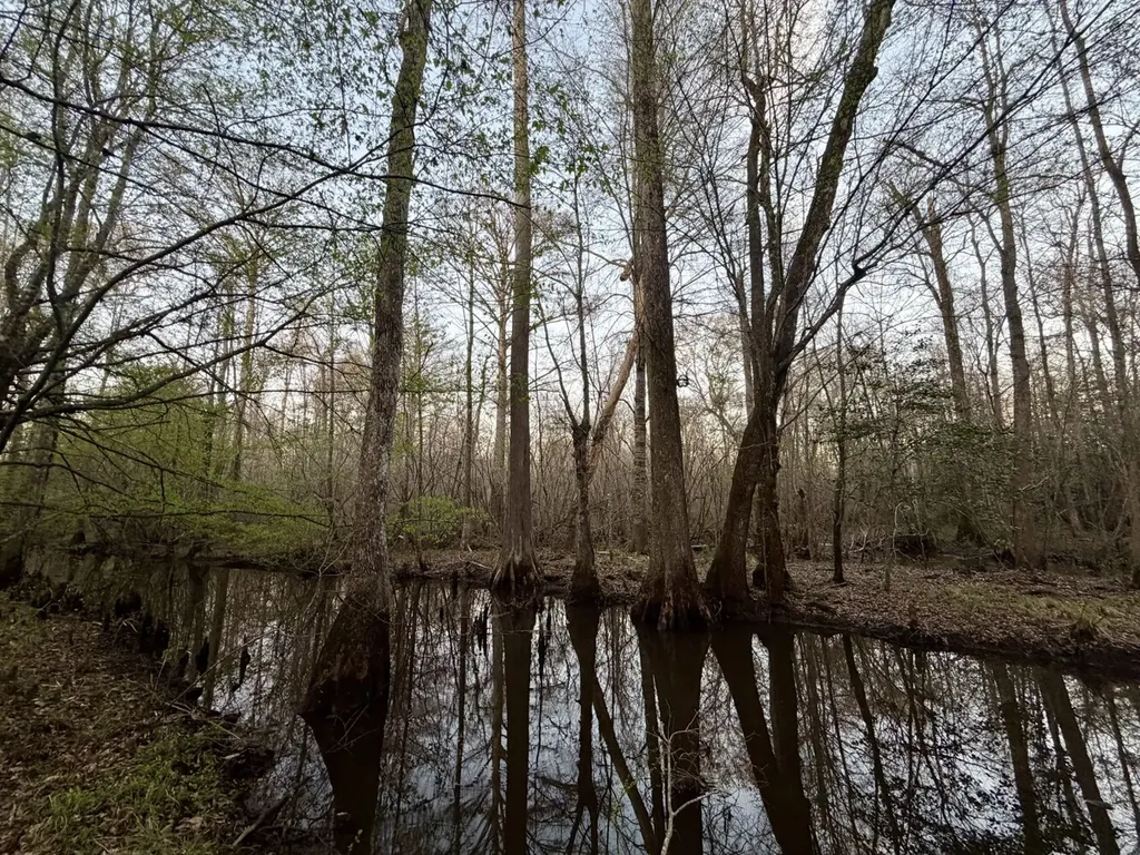 0 Co Highway 20 Evergreen AL 36401