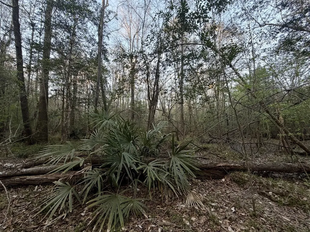 0 Co Highway 20 Evergreen AL 36401