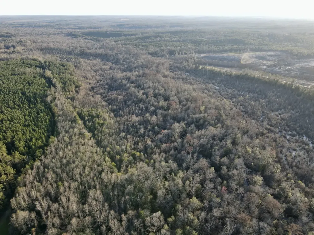 0 Co Highway 20 Evergreen AL 36401