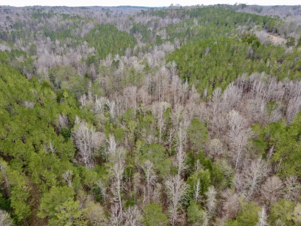 0 Ragtown Road Grove Hill AL 36451