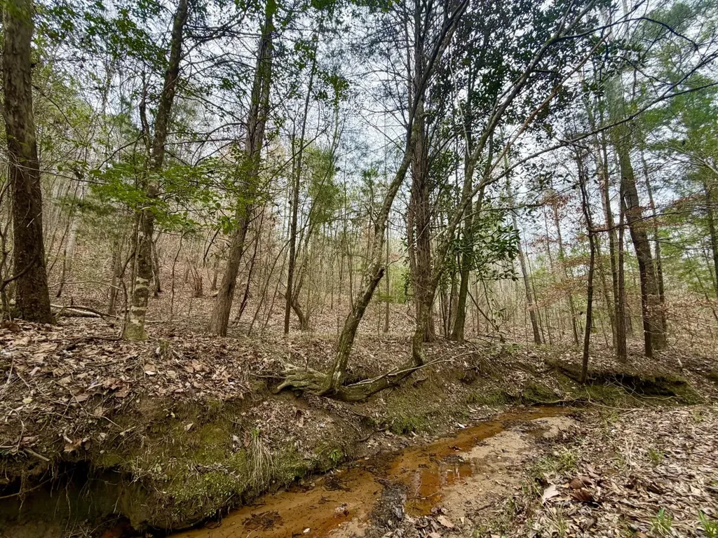 0 Ragtown Road Grove Hill AL 36451