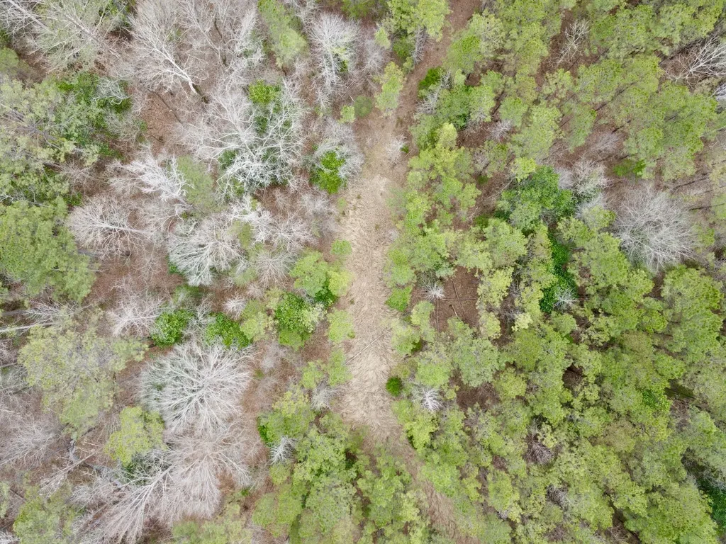 0 Ragtown Road Grove Hill AL 36451