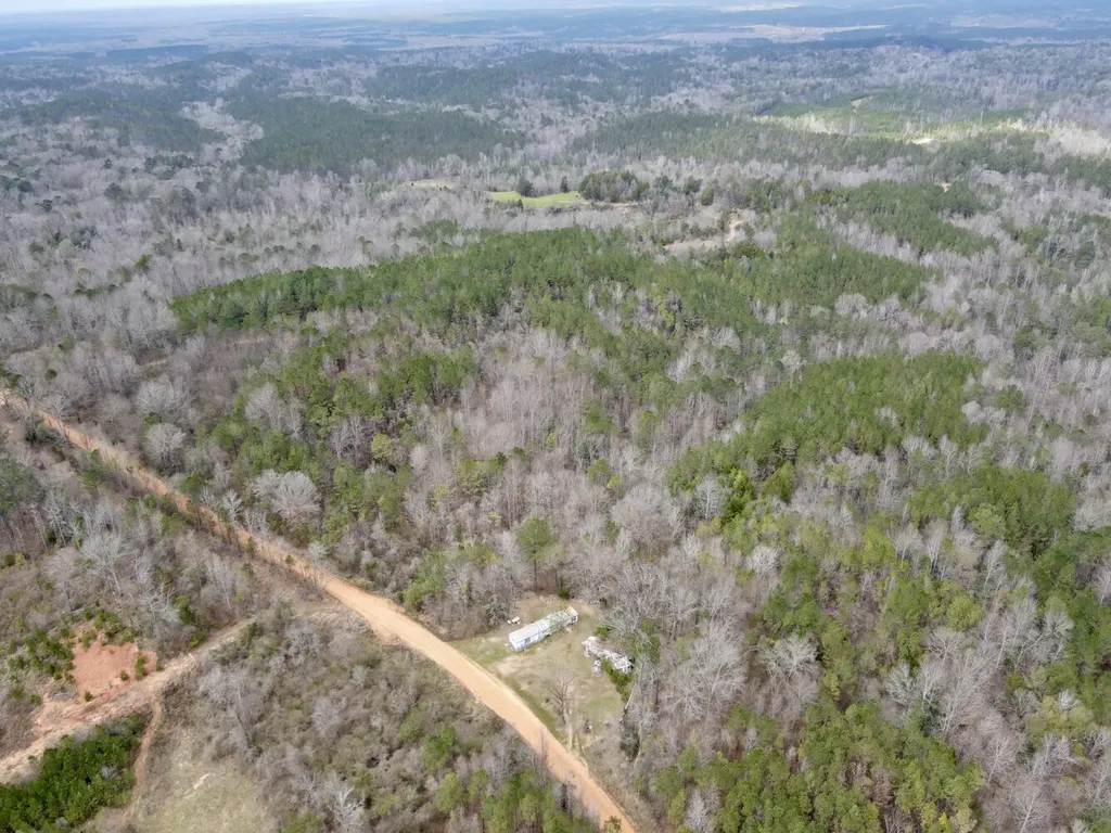 0 Ragtown Road Grove Hill AL 36451