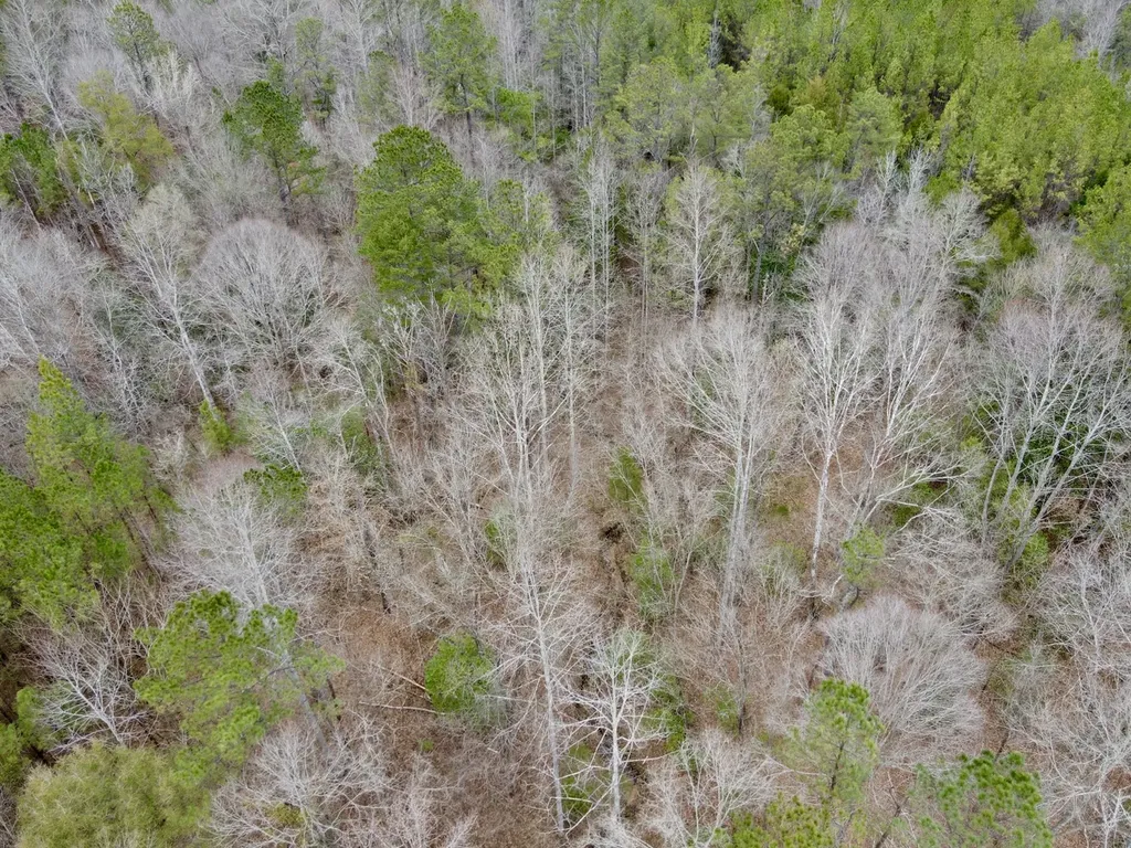 0 Ragtown Road Grove Hill AL 36451