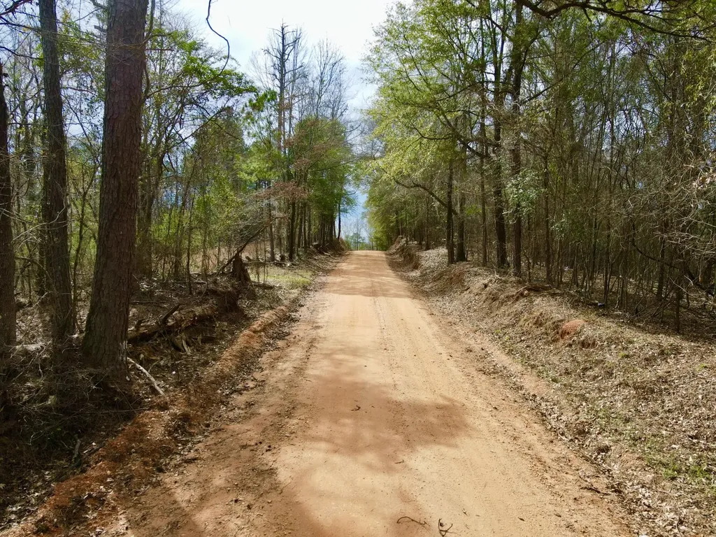0 Ragtown Road Grove Hill AL 36451