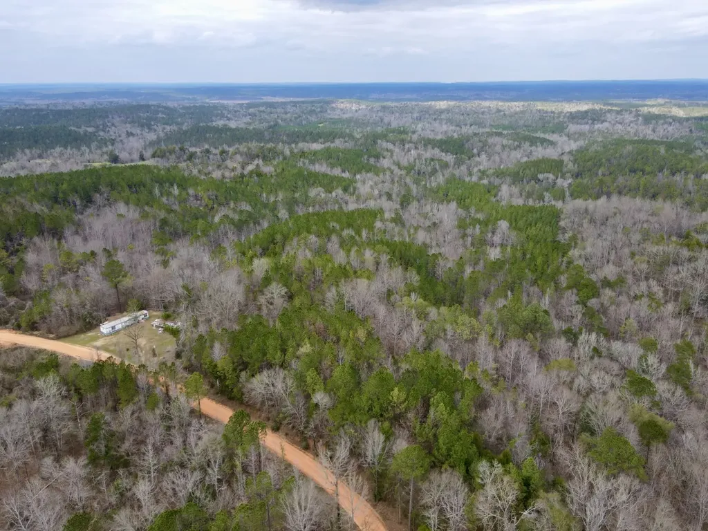 0 Ragtown Road Grove Hill AL 36451