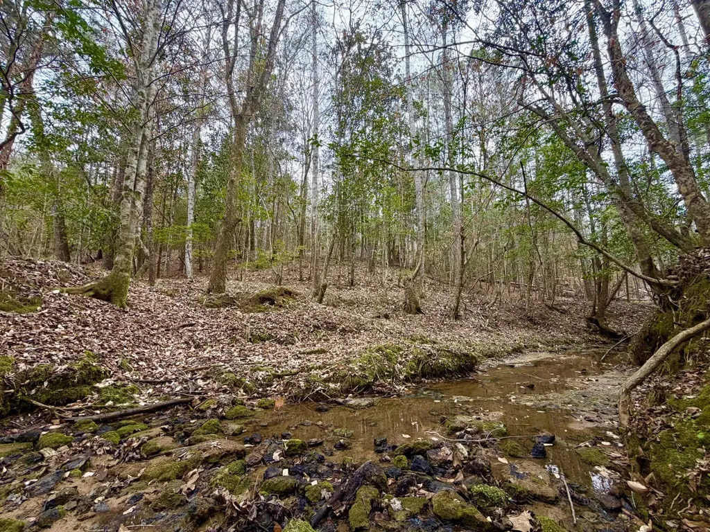 0 Ragtown Road Grove Hill AL 36451