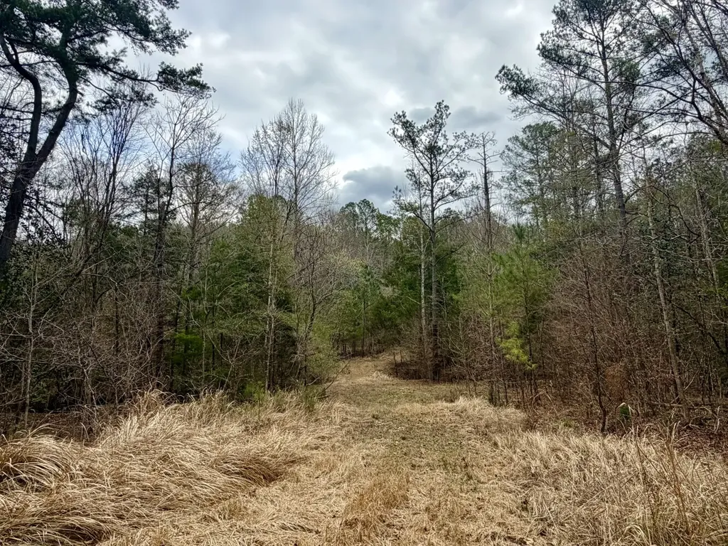 0 Ragtown Road Grove Hill AL 36451
