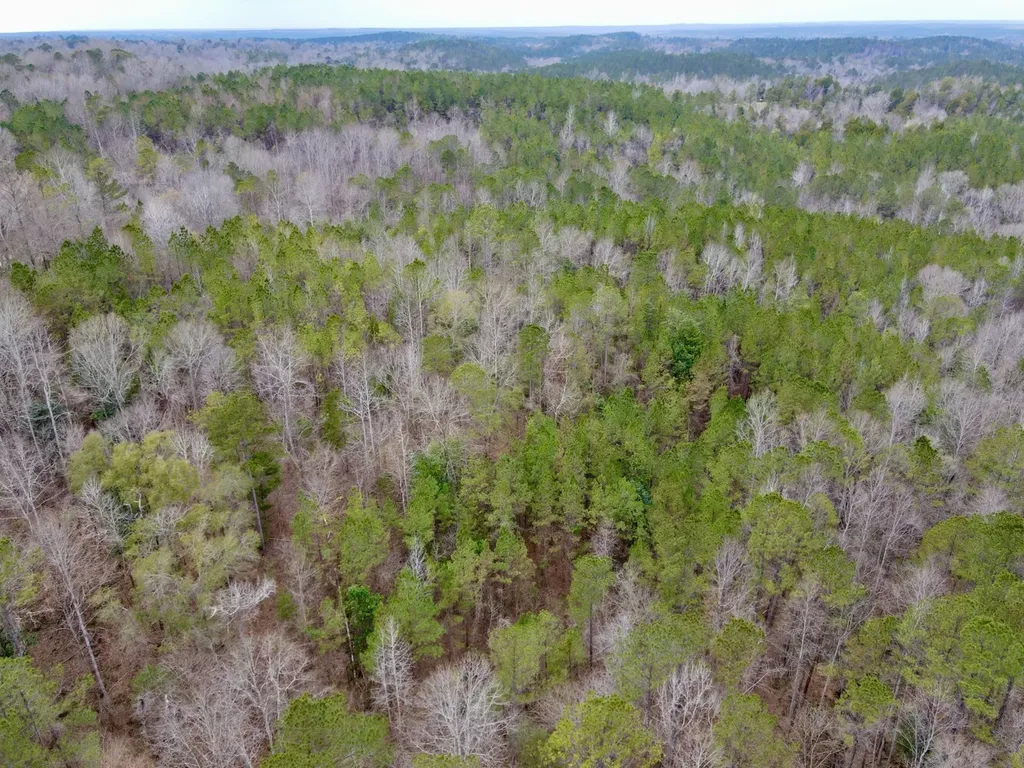 0 Ragtown Road Grove Hill AL 36451
