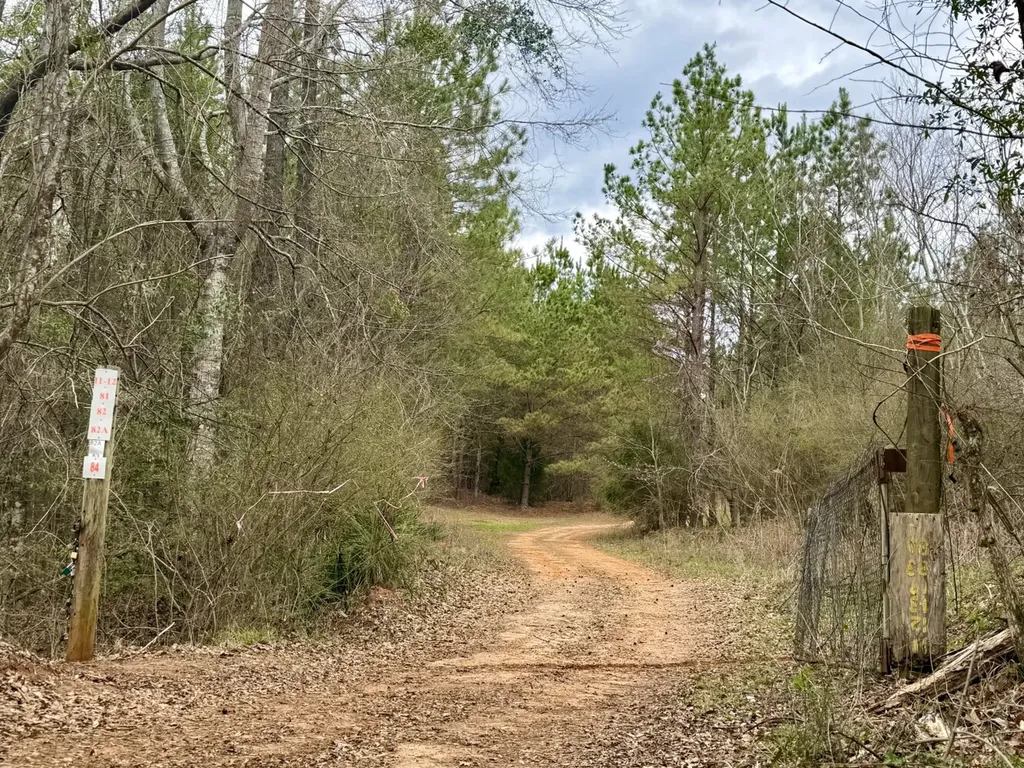 0 Ragtown Road Grove Hill AL 36451