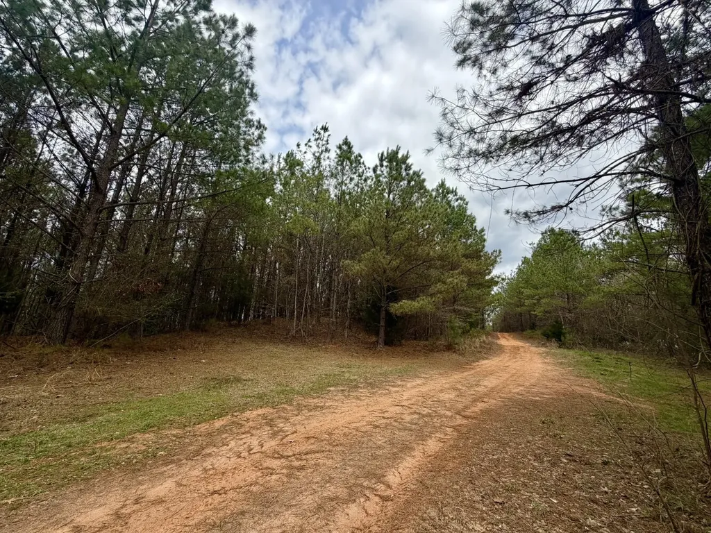0 Ragtown Road Grove Hill AL 36451