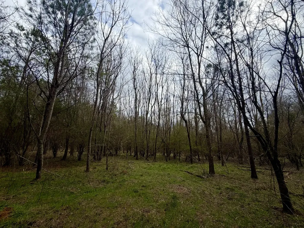 0 Ragtown Road Grove Hill AL 36451