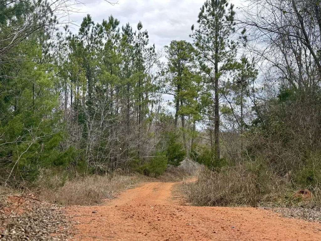 0 Ragtown Road Grove Hill AL 36451