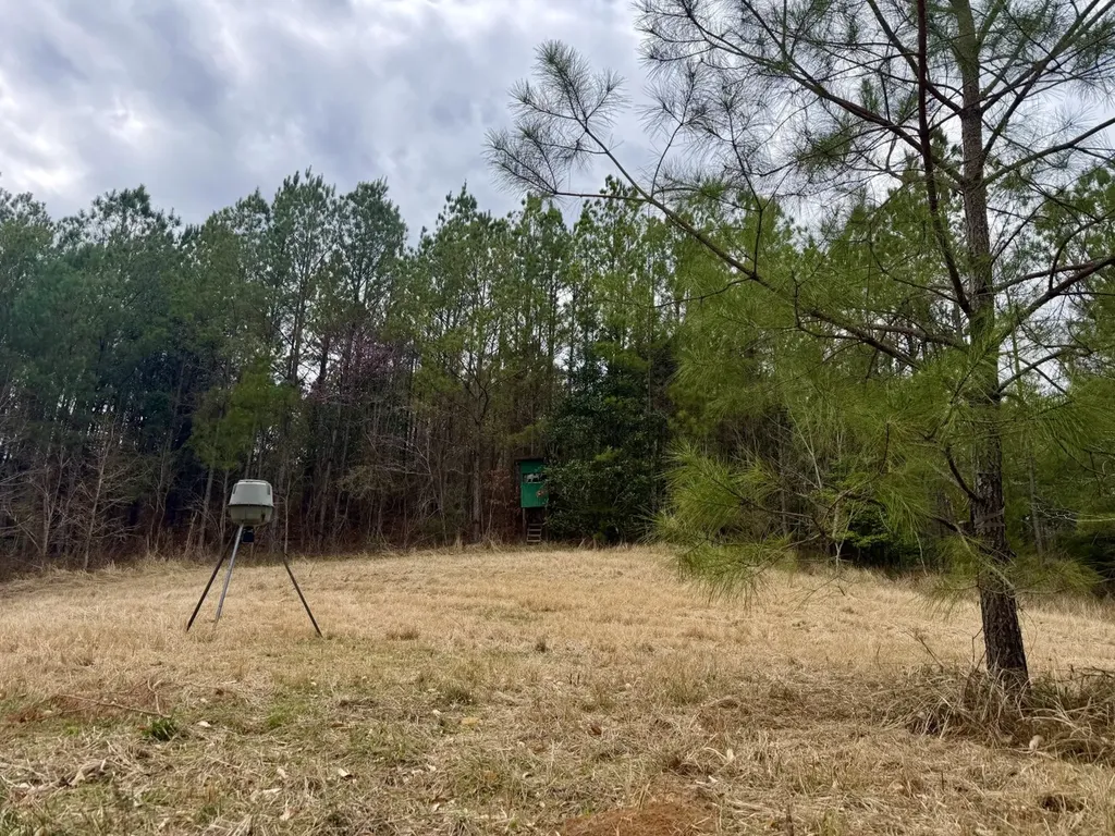 0 Ragtown Road Grove Hill AL 36451